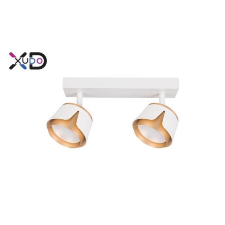 GX53 LED sieniniai šviestuvai x2 balti + auksiniai