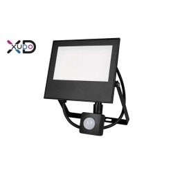 Mola 50W 4500K juodas PIR SMD LED prožektorius