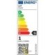 LED lemputė E12 Filament G40 24V 1W PC, 5 vnt.
