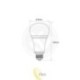 LED lemputė Milight E27 12W RGB+CCT FUT105