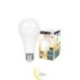 LED lemputė E27 A65 Vita 2700K 18W SMD 2835 230V
