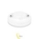 LED lemputė GX53 6500K 230V 5W