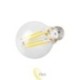 LED lempa E27 Filament A60 2700K 6W