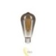 LED lemputė E27 Filament ST64 2200K 6W dūminė