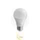 LED lemputė E27 WIFI A60 RGB+WW/CW 12W TUYA