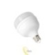 LED lemputė E27/E40 Goliat T100 4000K 30W 230V