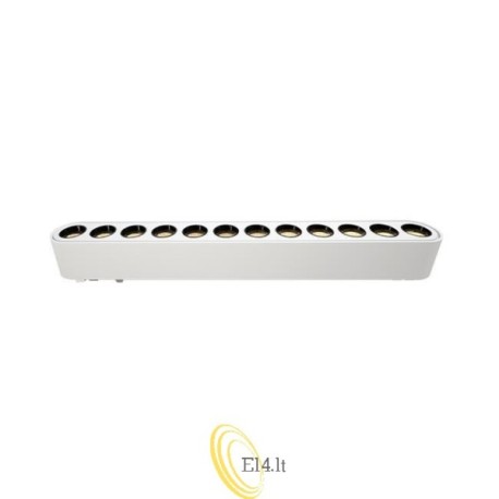 LED lempa Luxo 48V 12W 4000K Linea 24° balta