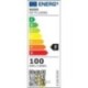 LED prožektorių rinkinys SMD Mola2 su stovu 2x50W 4500K