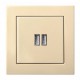 USB KROVIKLIS (ĮUK-2-01) (LIREGUS)