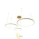 LED sietynas Hodo 40/60/80cm 116W auksinis