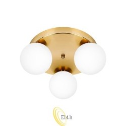 Sieninė lempa E27 LED Bali-12 29cm x3-1 auksinė