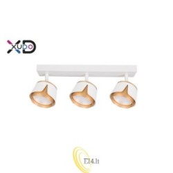 Sieninė lempa GX53 LED x3 balta+auksinė