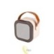 Nešiojamas Bluetooth karaokės garsiakalbis – 2 mikrofonai