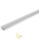 LED profilis Masterled slim 2 m anoduotas
