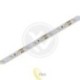 LED juosta 2835 Premium 5 m 300 LED IP20 raudona