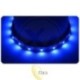 LED juosta 2835 Premium 5 m 300 LED IP20 mėlyna