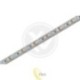 LED juosta 2835 Premium 5 m 600 LED IP65 6500K