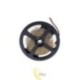 LED juosta 2835 Premium 40 m 2400 LED IP20 4500K