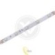 LED juosta RGB 5050 Premium 24V 5m 150led IP20