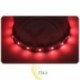 LED juosta 2835 V 5 m 300 LED IP20 raudona