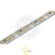 LED juosta 3528 balta šalta IP65 20m 2400led/m/120