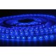 LED juostelė 2835 Premium - 5m 300led IP65 mėlyna