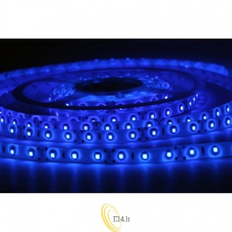 LED juostelė 2835 Premium - 5m 300led IP65 mėlyna