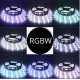 RGB+W 5050 LED juostelė 5m 300led IP20