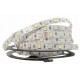 RGB+WW 5050 LED juostelė 5m 300led IP20