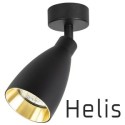 HELIS