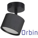 ORBIN