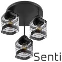 SENTI