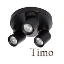 TIMO
