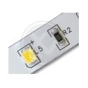 LED JUOSTA 2835 PRESTIGE